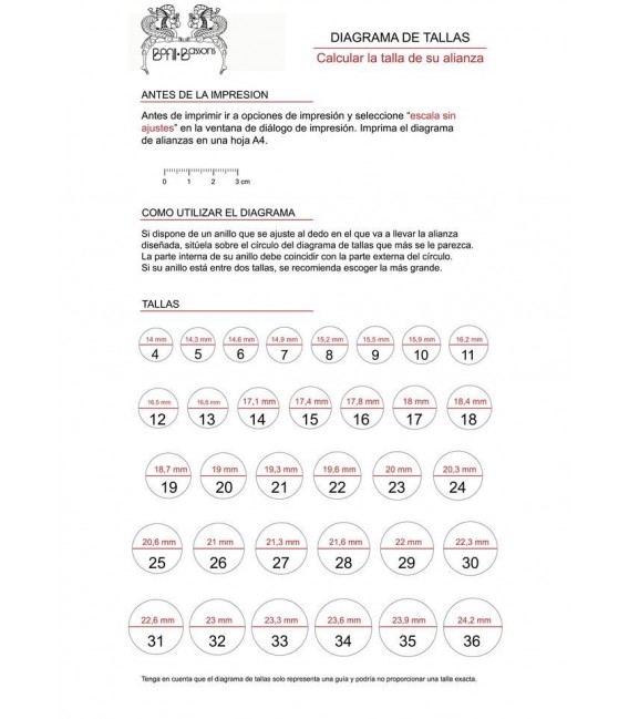 Anell Nom Personalizable Plata "Carrie "