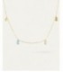 Collar Bloom PDPAOLA