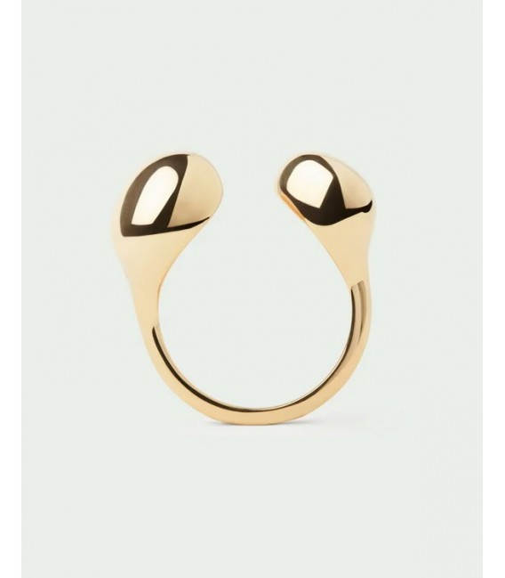 Anell Gravity de PDPAOLA