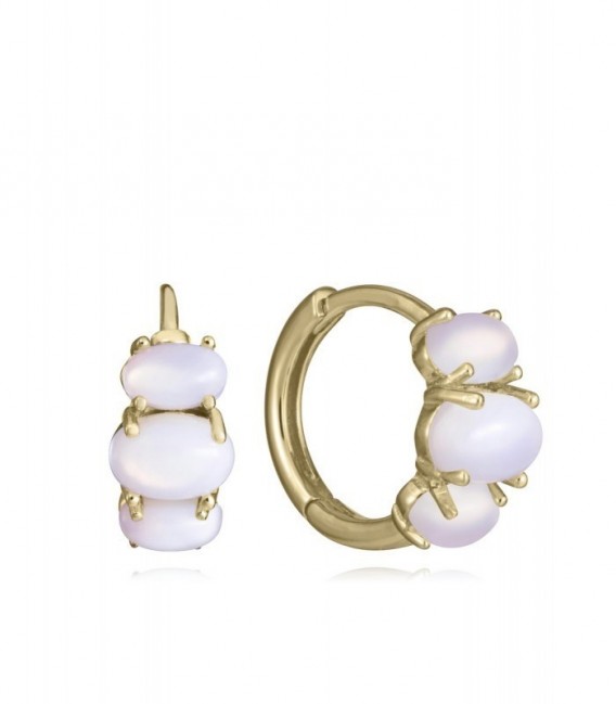 Pendientes VICEROY 2369E100-40