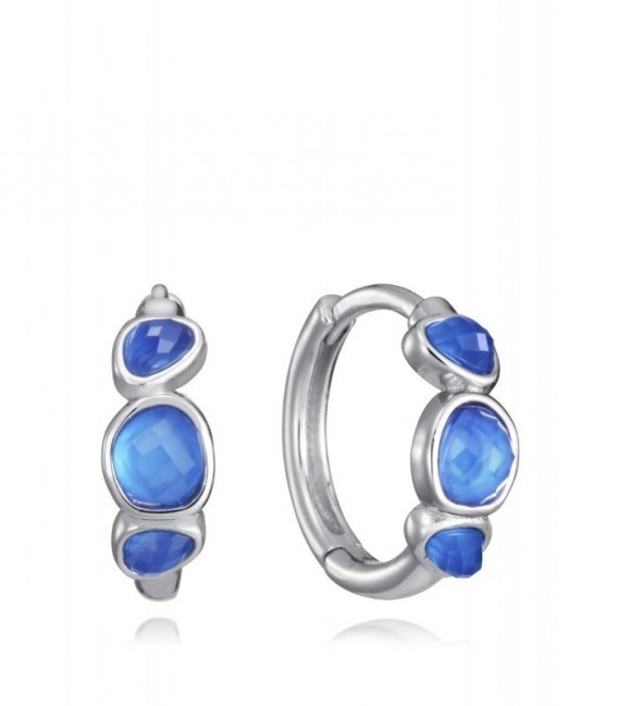Pendientes VICEROY 2372E000-43