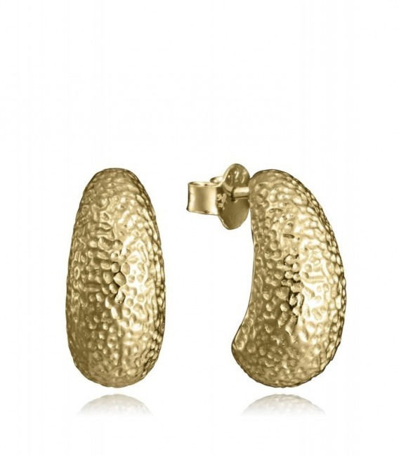 Pendientes VICEROY 9168E100-00